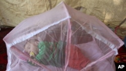 FILE - An Afghan girl sleeps beneath a mosquito net at her home in Kabul, Afghanistan, July 21, 2016.