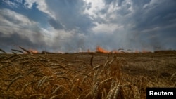 Фото - Палаюче поле пшениці на сході України, 17 липня 2022 року. REUTERS/Дмитро Смолієнко 