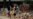 Texas Newspaper Posts Video of Police Response to Uvalde School Shooting Massacre