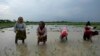 Perempuan petani menanam padi di sawah di desa Piparaon di pinggiran Prayagraj, di negara bagian Uttar Pradesh, India utara, yang berdekatan dengan ladang di mana Khusboo Bind, tewas tersambar petir, 25 Juli 2022. (AP/Rajesh Kumar Singh)