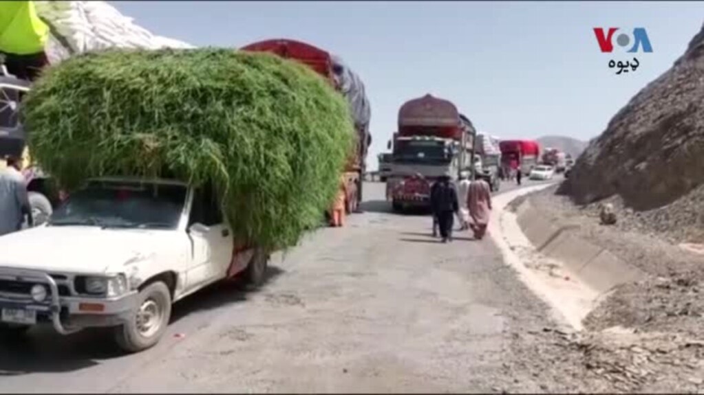 له افغانستان څخه د تازه میوو وړونکو ټرکونو مالکانو په چمن کې احتجاج کړی او د لارو د خوندي کولو غوښتنه کوي.
نعمت الله سرحدي