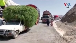 له افغانستان څخه د تازه میوو وړونکو ټرکونو مالکانو په چمن کې احتجاج کړی او د لارو د خوندي کولو غوښتنه کوي.
نعمت الله سرحدي