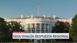 EEUU evalúa respuesta regional por brote de viruela del mono