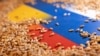 Ilustrasi yang menggambarkan biji-bijian di atas bendera Ukraina dan Rusia pada 9 Mei 2022. (Foto: REUTERS/Dado Ruvic)