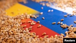 FILE: Grain is placed on Ukrainian and Russian flags in this picture illustration. Taken 5.9.2022
