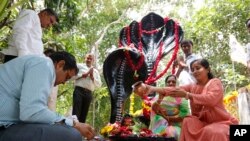 Umat Hindu berdoa di kuil ular dalam festival Nag Panchami di Ahmedabad, India, Jumat, 27 Agustus 2021. (AP/Ajit Solanki)