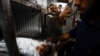 Israeli Strikes on Gaza Kill 10, Including Senior Militant