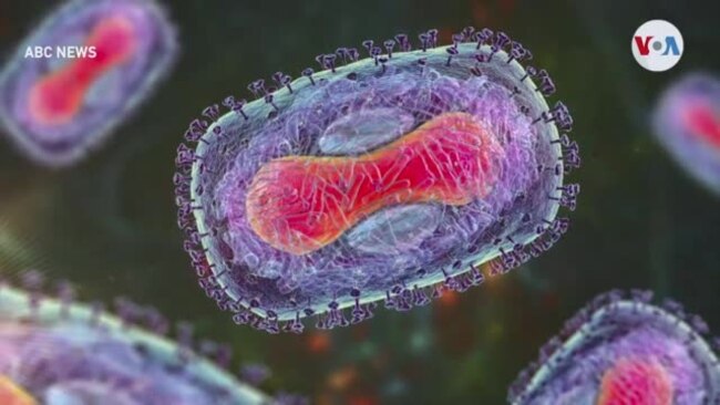 Preocupa la rápida propagación de la viruela del mono