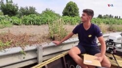 Ֆրանսիայի միակ փոստատարը, ով փոստ է առաքում նավակով