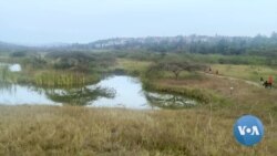 Rwanda Converts Degraded Wetland Into Urban Ecotourism Park