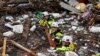 Members of the Tennessee Task Force One search and rescue team wade through debris-filled Troublesome Creek in Perry County, Kentucky, after a search dog detected the scent of a potential victim on July 31, 2022. (Jeff Faughender/USA Today Network via Reuters)