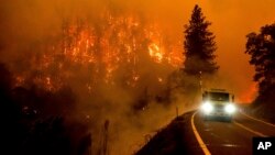 Sebuah truk pemadam kebakaran melaju di sepanjang California Highway 96 saat Kebakaran McKinney di Hutan Nasional Klamath, California, Sabtu, 30 Juli 2022. (Foto: AP/Noah Berger)