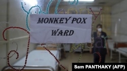 Contrairement à ce que son nom pourrait suggérer, la maladie appelée "monkeypox" en anglais n’a pas grand-chose à voir avec le singe.
