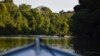 One of Amazon's Biggest Deforesters Wins Demise of Protected Park 