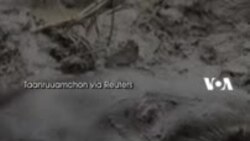 Penyelamatan Induk dan Anak Gajah yang Jatuh ke Lubang