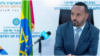 ዳይሬክተር ኣገልግሎት ዲያስፖራ- መሃመድ እድሪስ 