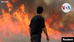 En Fotos | Altas temperaturas en España: incendios y muertes por calor