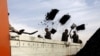 FILE - Laborers unload coal from a truck at a coal dump site in Kabul, Afghanistan.