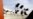 Taliban Again Raise Coal Prices Amid Booming Exports to Pakistan