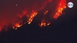 Feroz incendio forestal Oak es el más grande del año en California