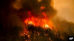 Flames from the McKinney fire consume trees along California Highway 96 in Klamath National Forest, Calif., July 30, 2022.