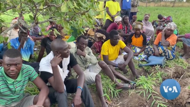 Deslocados do terrorismo apostam na agricultura para ultrapassar dificuldades