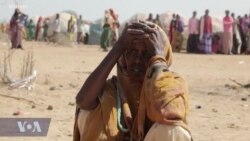 Somali Aid Group Requests Urgent Aid to Assist with Humanitarian Crisis