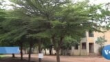 Bac Daminɛ Mali La