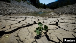Cracked and dry earth is seen on the banks of Le Broc lake, as a historical drought hits France, Aug. 5, 2022.