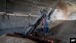 A farmer collects harvest from his field near the front line in the Dnipropetrovsk region, Ukraine, on 7.4.2022. Officials from Russia, Ukraine, Turkey and the United Nations are due to meet Wednesday in Istanbul in an effort to resume grain exports f