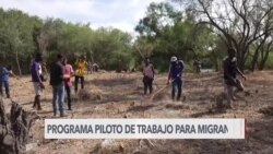 Migrantes en programa piloto de trabajo en frontera México-EEUU