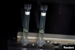 FILE - Two possible monkeypox samples go through a process of nucleic acid extraction as they get tested at a microbiology lab at La Paz Hospital in Madrid, Spain, June 1, 2022.