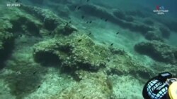 Ջրասուզորդը Տարանտոյում հայտնաբերել է հին հռոմեական բեռներ 2000 տարվա վաղեմության խորտակված նավից_1.mp4