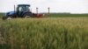 FLASHPOINT UKRAINE: Talks Underway to Resume Ukraine’s Grain Exports