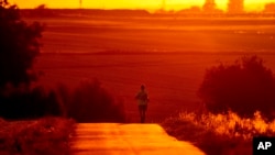 A man uses cool morning hours for a run on a small road in the outskirts of Frankfurt, Germany, Monday, July 18, 2022.