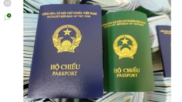Việt Nam hiện lưu hành hai mẫu hộ chiếu, mới (xanh tím than, trái) và cũ (xanh lá cây) cùng lúc.