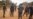 Uganda Monitors DRC Border After Deadly Shooting