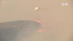 歐洲熱浪持續 多國山火肆虐 