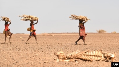 US: Africa's Food Insecurity to Persist Because of Climate Change, Conflicts