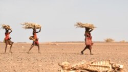 La sécheresse a causé le déplacement d'un million de Somaliens