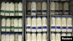 FILE - Milk cartons are displayed at an Asda supermarket in London, Aug. 17, 2015.