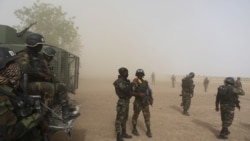 Daybreak Africa: West Africa multi-national force pounds Boko Haram in Lake Chad