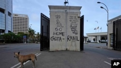 A stray dog is seen on the road leading to president's official residence in Colombo, Sri Lanka, July 15, 2022. Protesters retreated from government buildings Thursday in Sri Lanka, restoring a tenuous calm to the economically crippled country, and the em