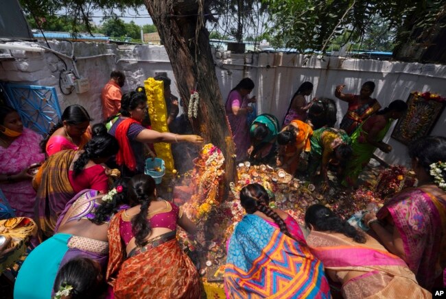 Umat Hindu berdoa di kuil ular selama festival Nag Panchami di Hyderabad, India, Selasa, 2 Agustus 2022. (AP/Mahesh Kumar A.)