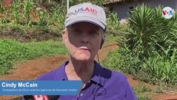 "Estas inversiones funcionan, son necesarias": Embajadora McCain en su visita a Honduras