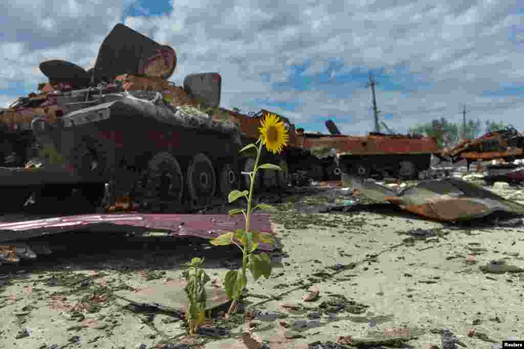 Destroyed Russian military vehicles are seen at a compound of an agricultural farm, which was used by Russian troops as a military base in Kharkiv Region, Ukraine, July 17, 2022.