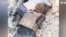 Man Rescued from Rubble of Donetsk Region Apartment Block