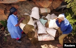 DOSSIER – Des ouvriers hissent des sacs de thé rooibos sur un tracteur dans les montagnes reculées de la région de Cedarberg, à environ 300 km (186 miles) au nord de Cape Town, le 30 mars 2006.