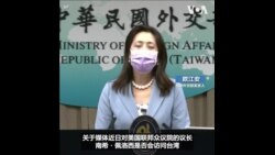 台湾外交部拒绝评论佩洛西是否访台 