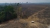 Deforestation in Brazil’s Amazon Hits Record Level